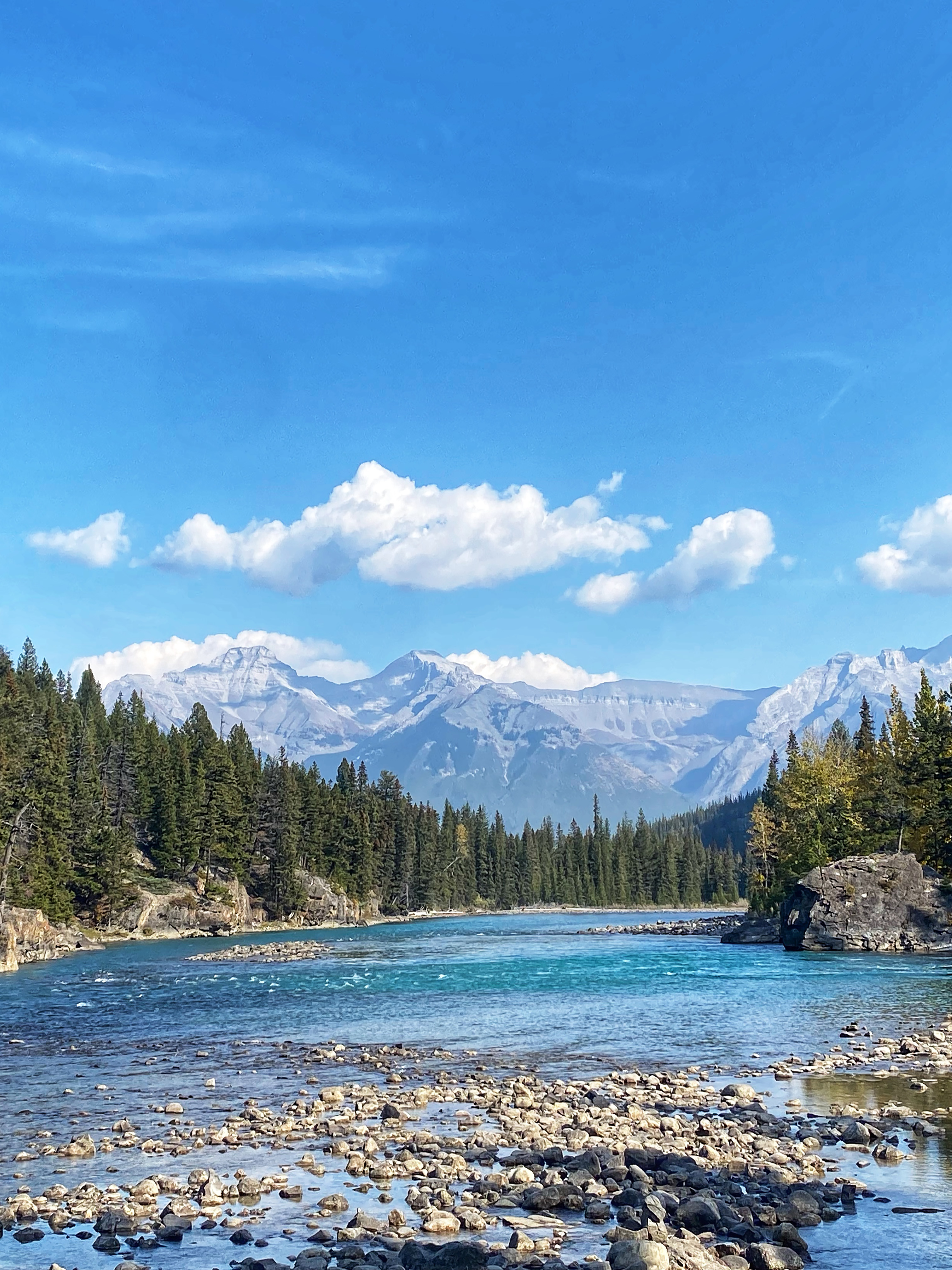 A turquoise river, evergreen trees, and distant mountain peaks